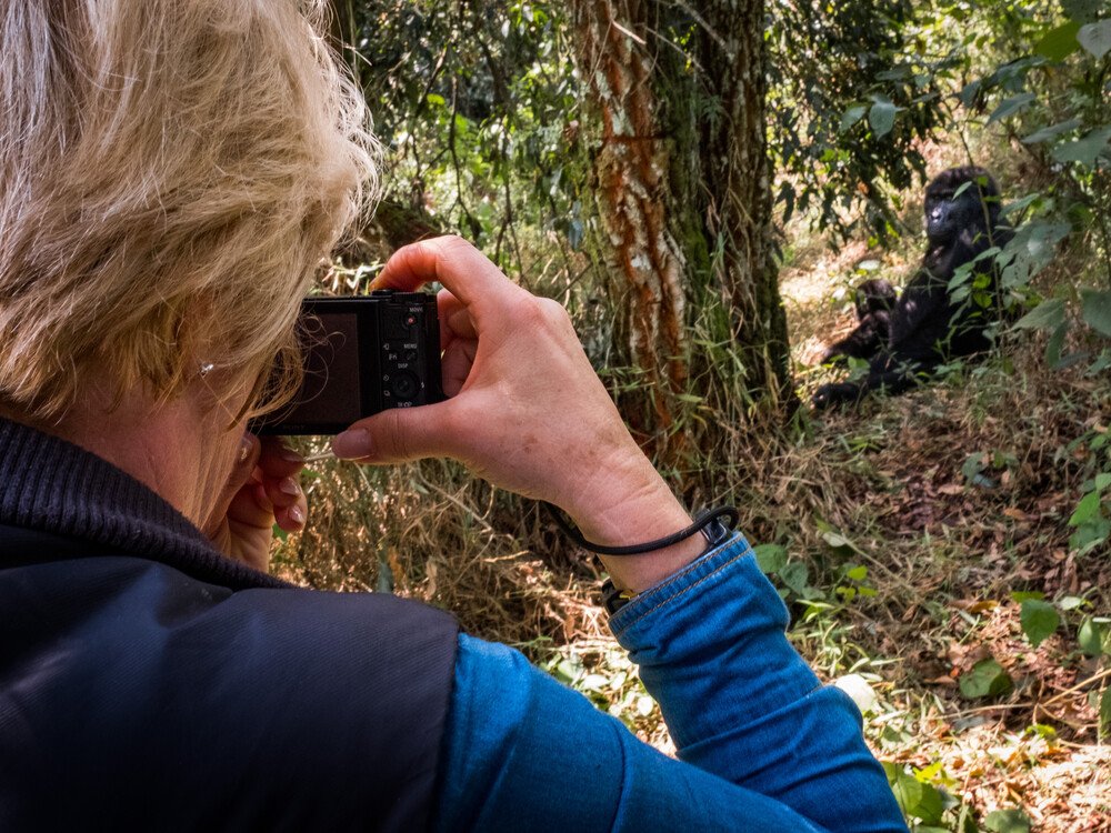 Bwindi gorilla habituation experience with Nextgen Safaris in Uganda's mountain rainforest