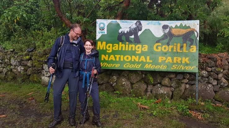 How Much Is a Gorilla Trekking Permit in Uganda? Gorilla trekking in Mgahinga National Park