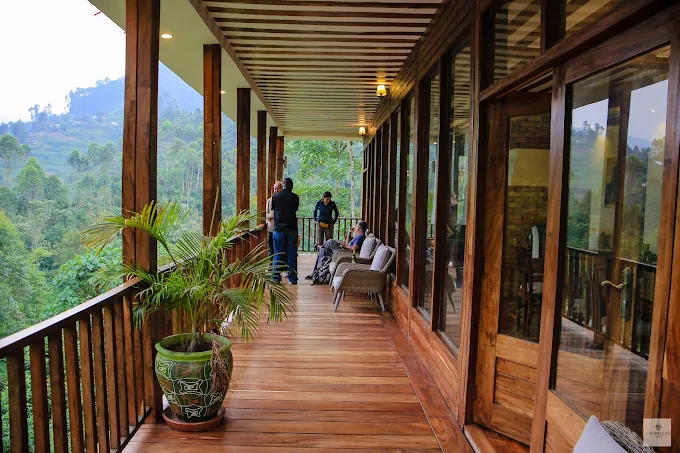 How Much Is a Gorilla Trekking Permit in Uganda? Accommodation near Bwindi gorilla trekking areas