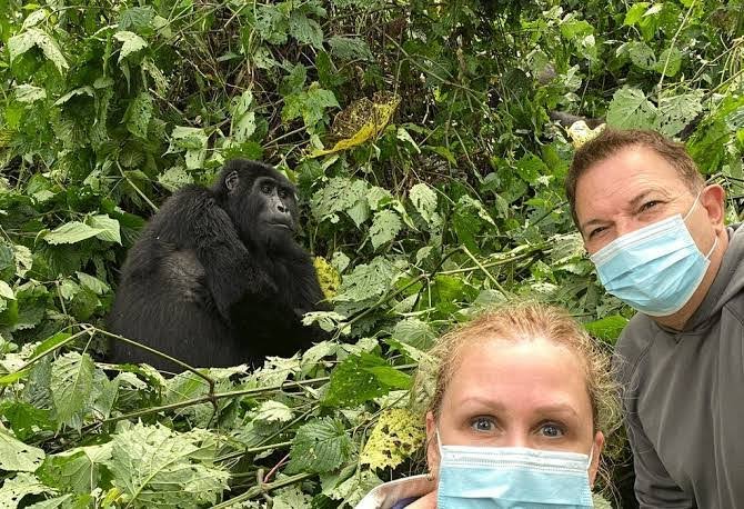 Book Uganda gorilla trekking permits online for Bwindi and Mgahinga Gorilla National Parks
