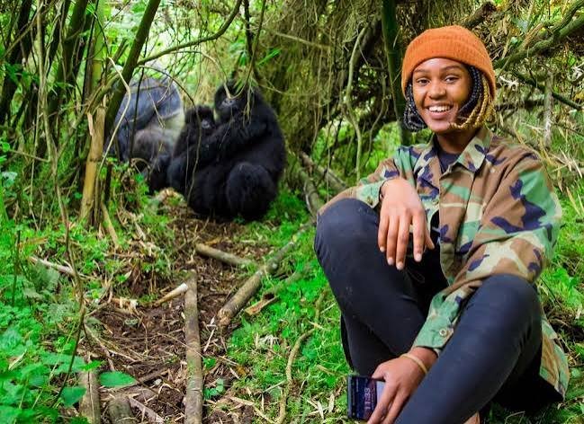 African travelers participating in a guided mountain gorilla trekking experience in Uganda