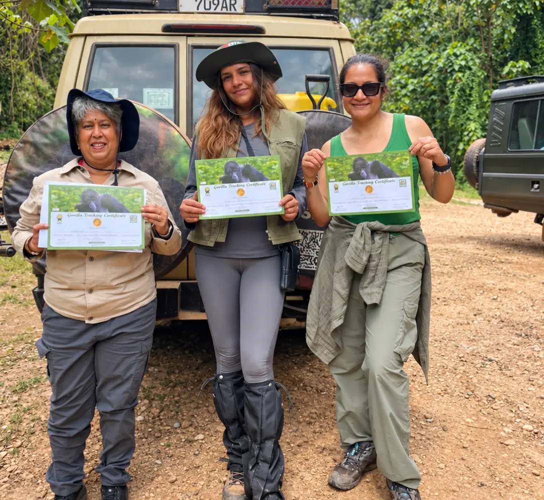 How Much Is a Gorilla Trekking Permit in Uganda? Gorilla trekking permit information